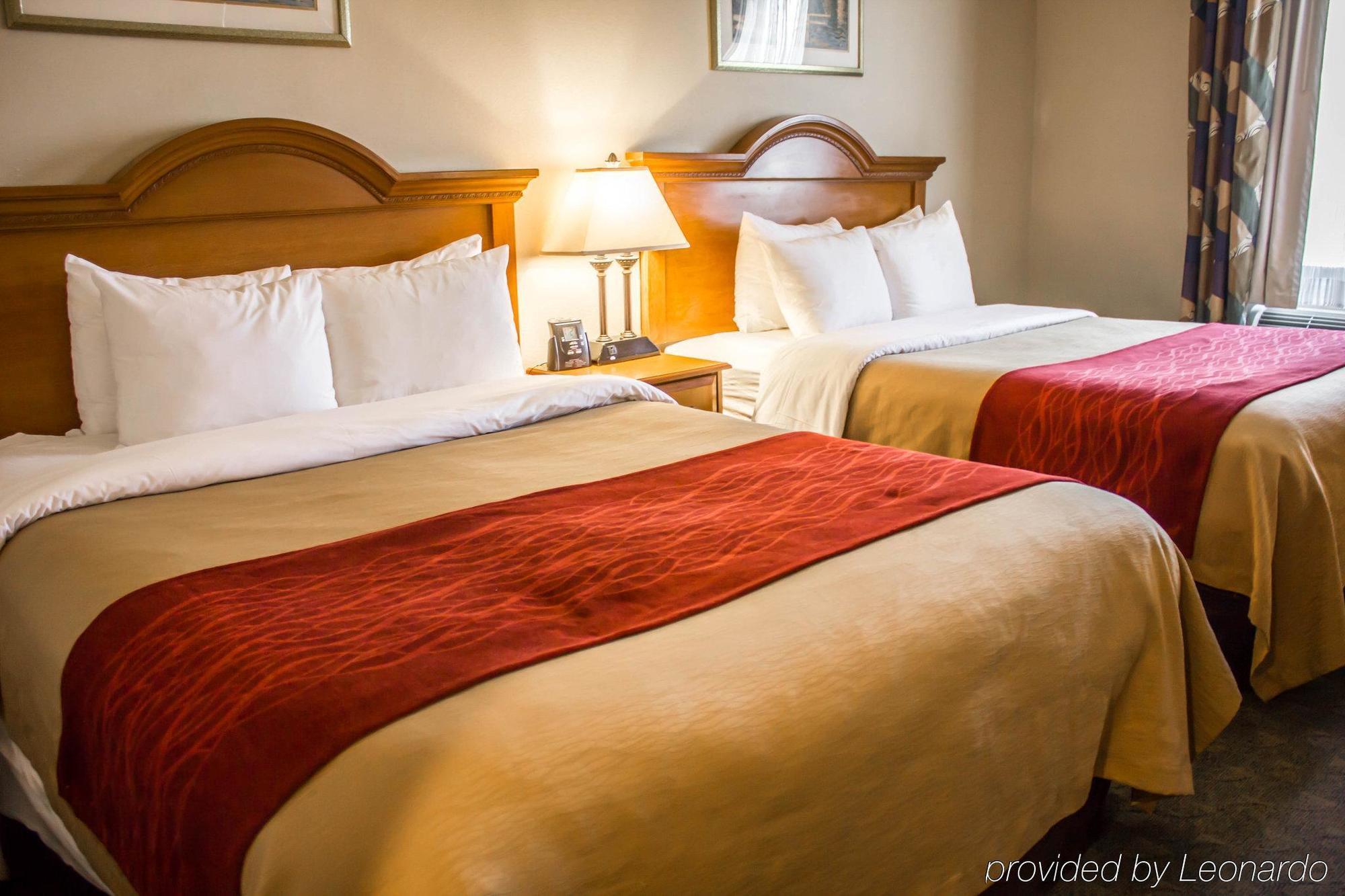ניו יורק Comfort Inn Jfk Airport מראה חיצוני תמונה