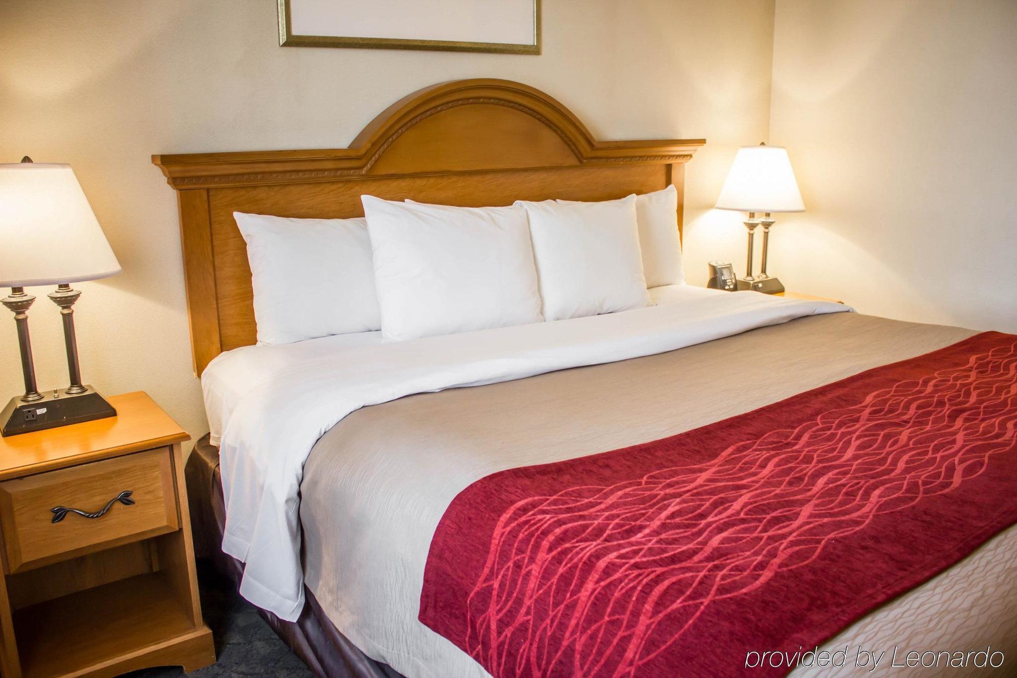 ניו יורק Comfort Inn Jfk Airport מראה חיצוני תמונה