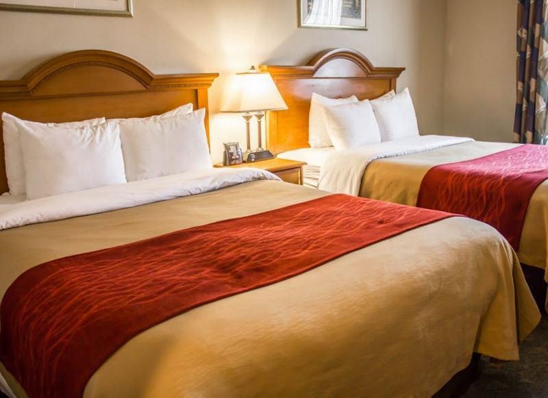 ניו יורק Comfort Inn Jfk Airport מראה חיצוני תמונה